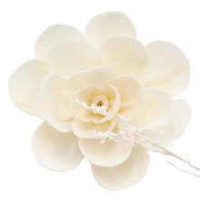 Fleur de bois de Sola séchée en bois blanc fait à la main en bois blanc de vente chaude chinoise pour le diffuseur de roseau